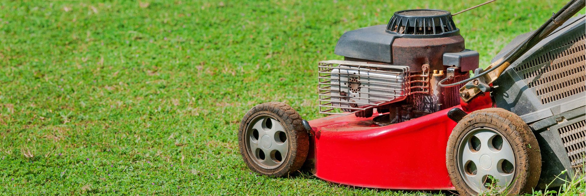 Our regular and seasonal ground maintenance services include: